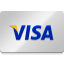 Visa Logo